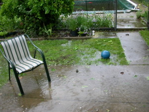 Back yard flooded 3