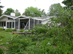 Porch damaged by trees