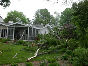 Another damage picture
