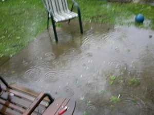 Back yard flooded